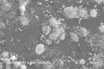Carbon nanofiber