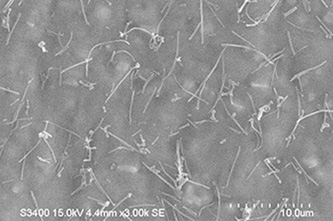 Carbon nanofiber