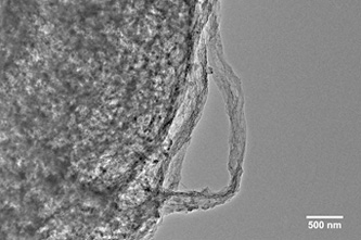 Carbon nanotube