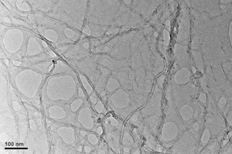 Carbon nanotube