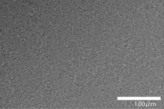Hydrophilic Silica
