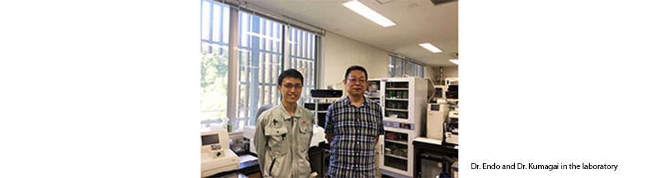 Dr. Endo and Dr. Kumagai in the laboratory