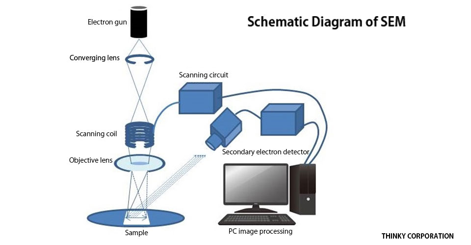 schematic diagram of SEM