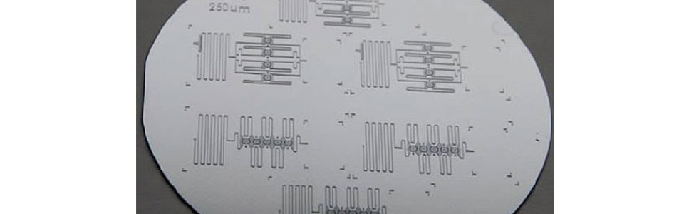 View of a Si-wafer with SU8 microstructures.