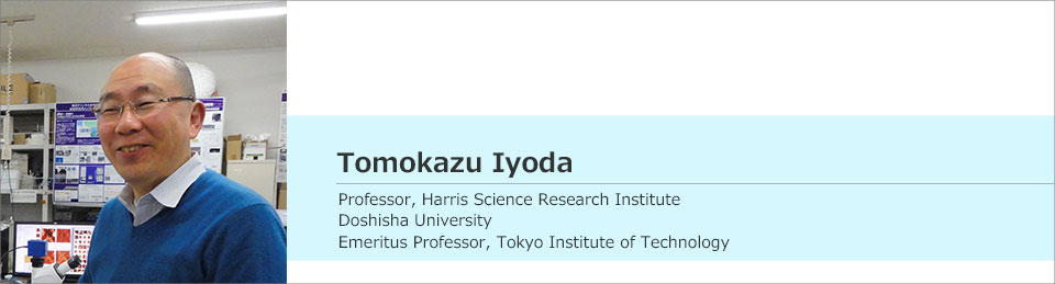 User interview – Professor Tomokazu Iyoda, Harris Science Research Institute, Doshisha University