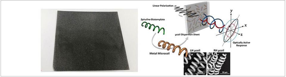 Metal microcoil dispersion sheet