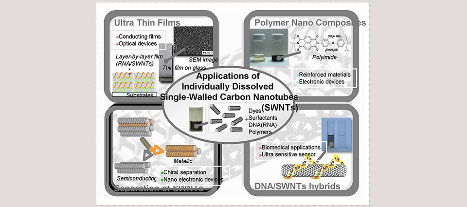  *The figure shows the world of “soluble carbon nanotubes”