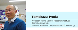 User interview – Professor Tomokazu Iyoda, Harris Science Research Institute, Doshisha University