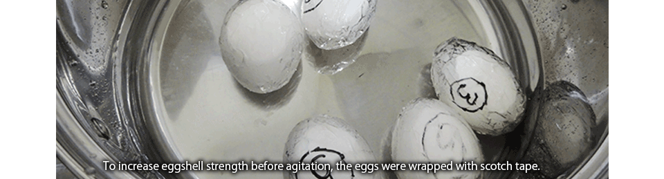 To increase eggshell strength before agitation, the eggs were wrapped with scotch tape.