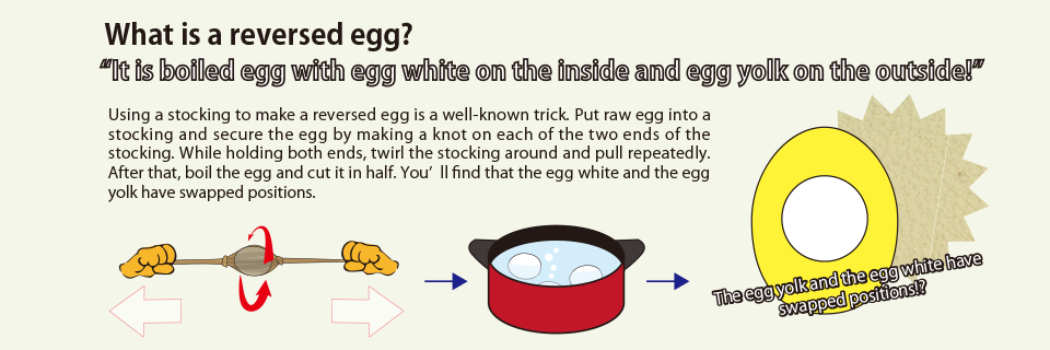 What is a reversed egg? 