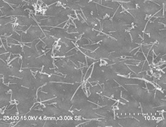 Carbon nanofiber