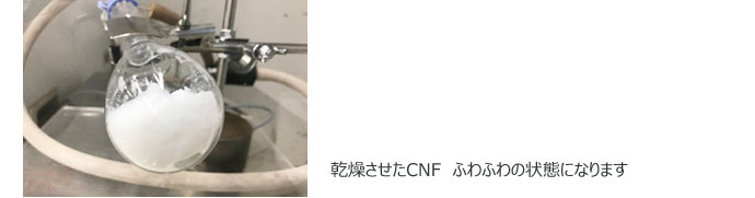 乾燥させたCNF　ふわふわの状態になります 