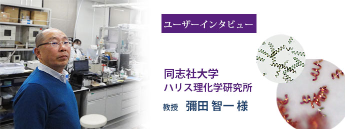 スピルリナから電磁波吸収に期待の新素材を　彌田教授に聞く