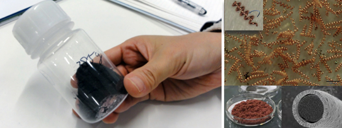 瓶に入った何億もあるスピルリナの金属マイクロコイル（左）と顕微鏡写真（右）