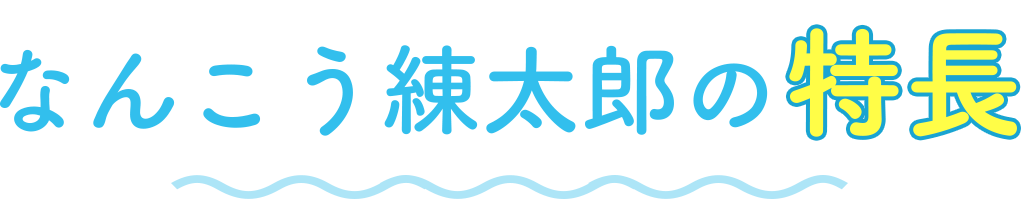 なんこう練太郎の特長